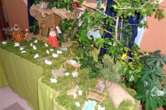 DSC00119